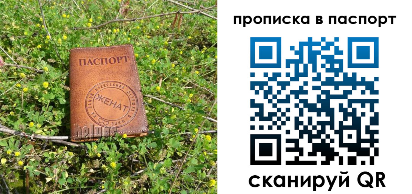 прописка для школы в Сочи